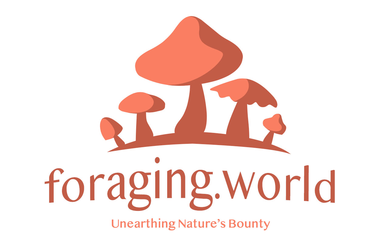 foraging.world is available to own now